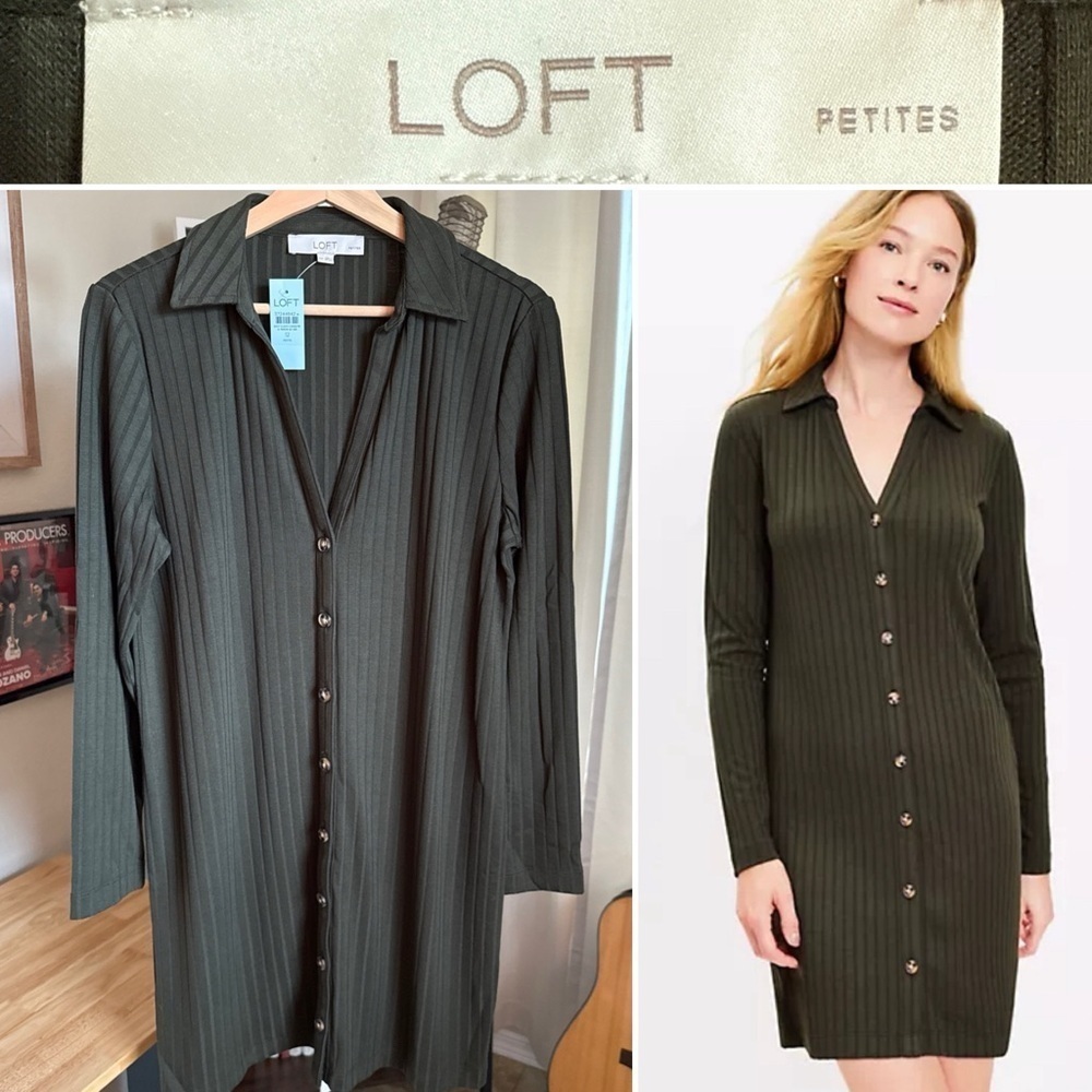 Loft Women’s Ribbed Mini Shirt Dress Green Size 12P NWT $42